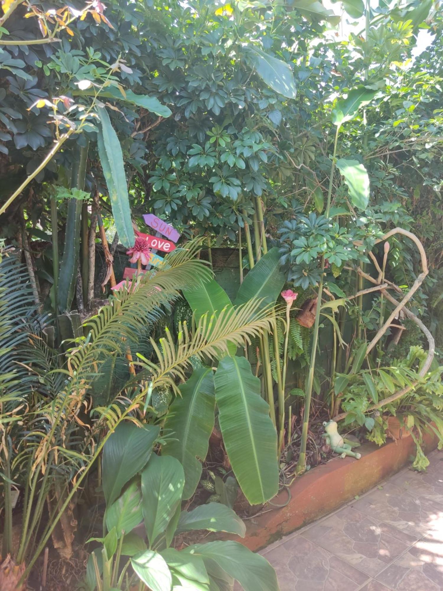 Recanto Toca Das Plantas De Ilhabela I Ruang foto